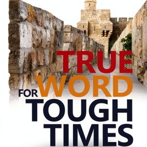 Old Testament Meditations Evangelical Press Kindle-0