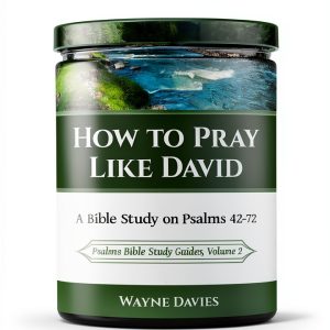 Psalms Bible Study Guide Book 2 of 3 - Enhanced Kindle Edition-0