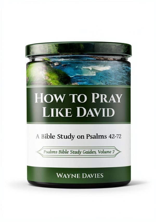 Psalms Bible Study Guide Book 2 of 3 - Enhanced Kindle Edition-0