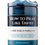 Psalms Bible Study Guide Good Messengers Ministries Kindle eBook-0