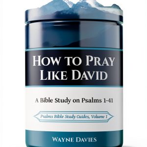 Psalms Bible Study Guide Good Messengers Ministries Kindle eBook-0